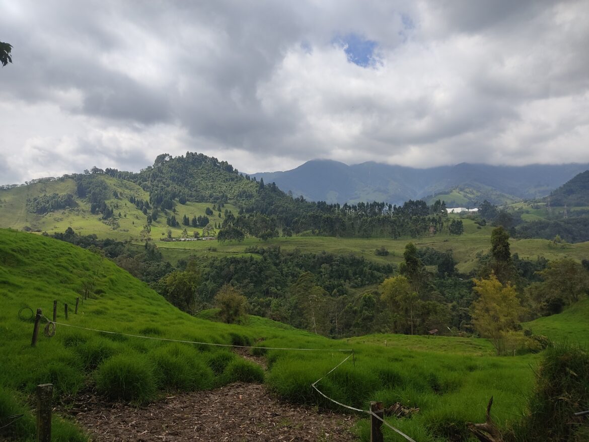 Manizales Manizales